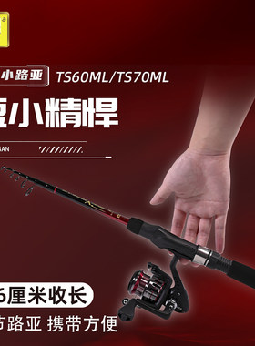 迪佳振出路亚并继路亚竿套装钓鱼竿单竿远投泛用专用路亚杆纺车轮