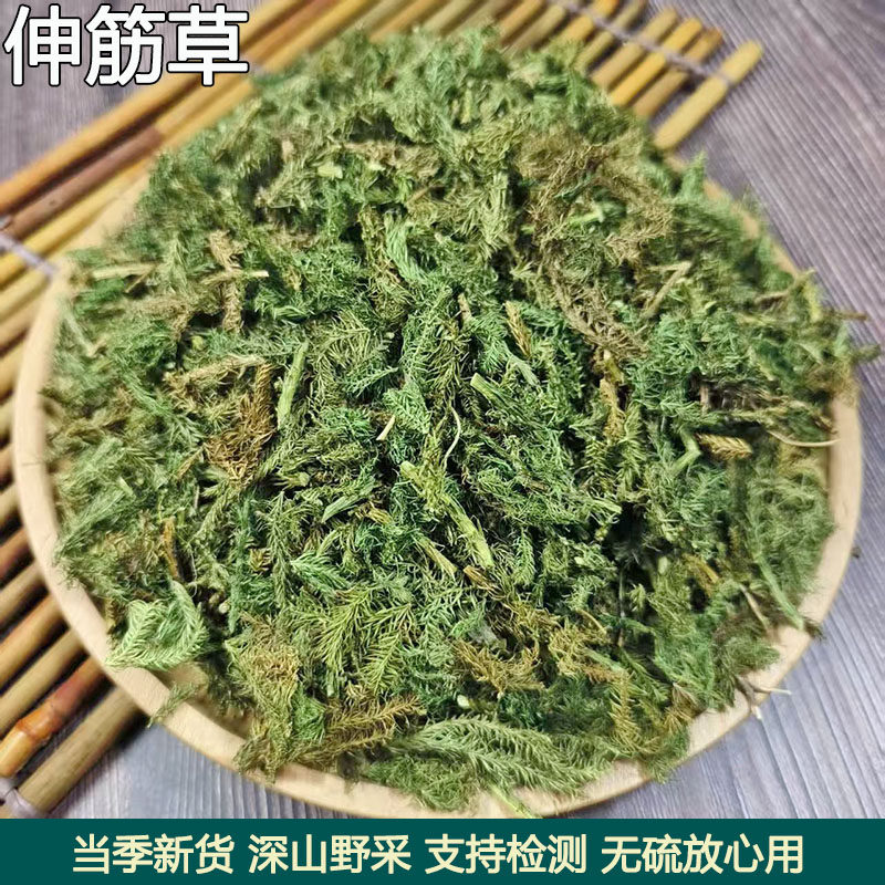 伸筋草中药材舒筋草双三藤桂枝汤山货海风藤正品宽筋草狮子草石松