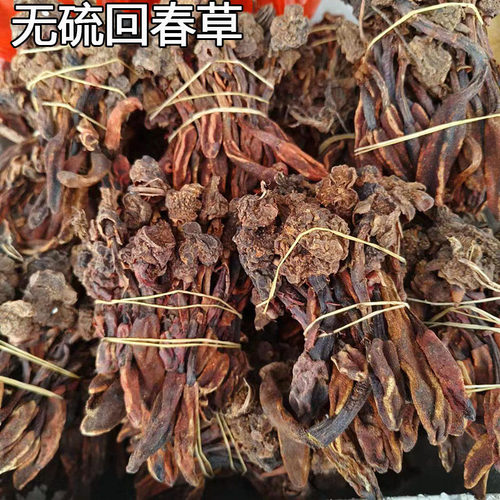 正宗回春草不老草山货顶天柱男性泡茶酒料煲汤锁阳肉苁蓉杜仲玛卡