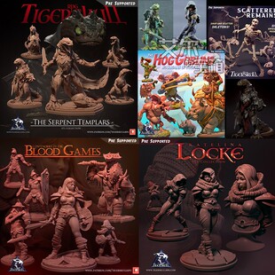 野蛮角斗士盗贼妹子蛇人圣殿守卫猪妖犀牛对决桌游战棋子手办涂装