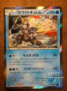 【现货】宠物小精灵 口袋妖怪 XY10 白冰龙 酋雷姆 R闪卡