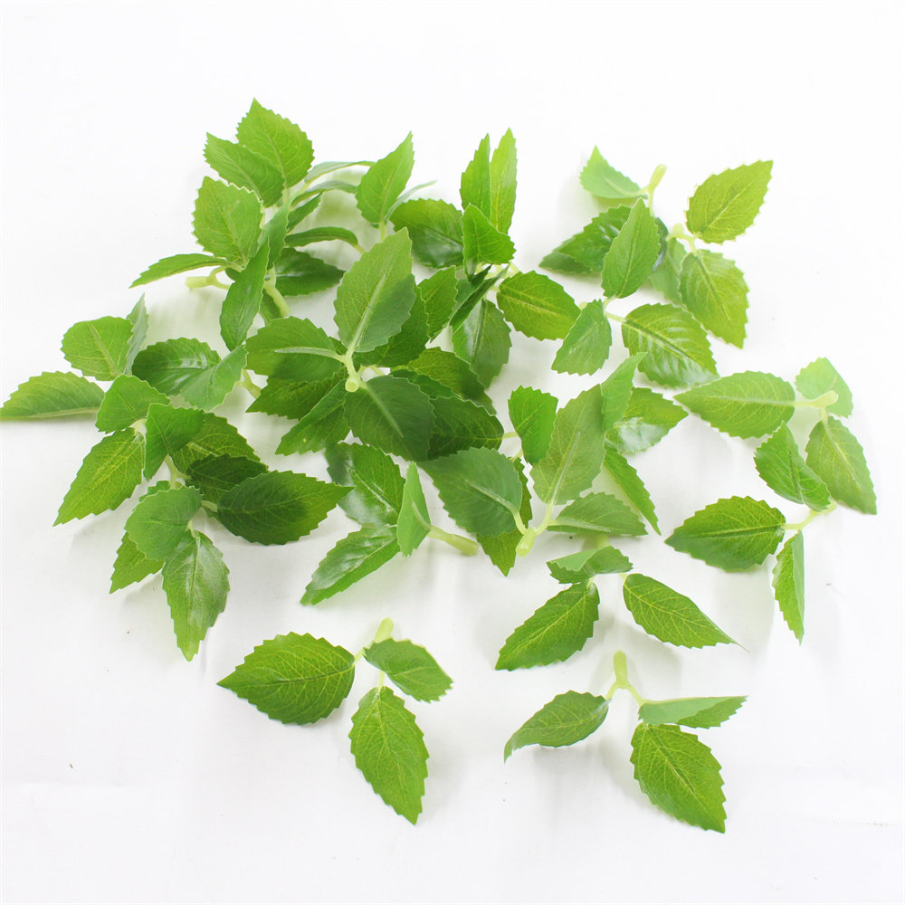 网红仿真植物叶子草过胶樱花叶玫瑰叶薄荷叶蛋糕装饰品绿植配件,鲜花速递/花卉仿真/绿植园艺,仿真绿植,淘宝优惠券,粉丝福利购,淘宝优惠卷