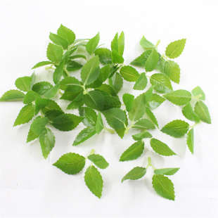 网红仿真植物叶子草过胶樱花叶玫瑰叶薄荷叶蛋糕装 饰品绿植配件