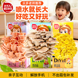 悟空小将 蘑菇DIY种植礼盒 可食用生态菌菇种植包蘑菇种植包菌种