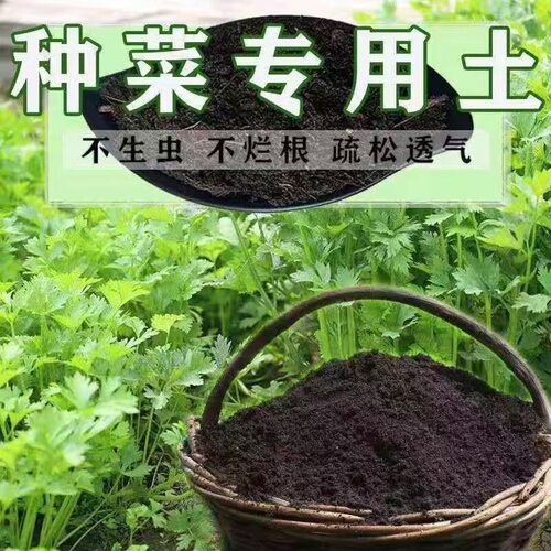种菜营养土香葱营养土种菜土有机蔬菜种植土通用种葱种姜种蒜
