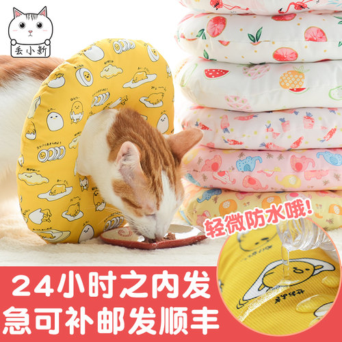 猫兔伊丽莎白圈微防水耐脏绝育