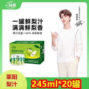 一枝笔 一支笔莱阳梨汁 特产抖音网红饮料民航245ml果汁 听装包邮