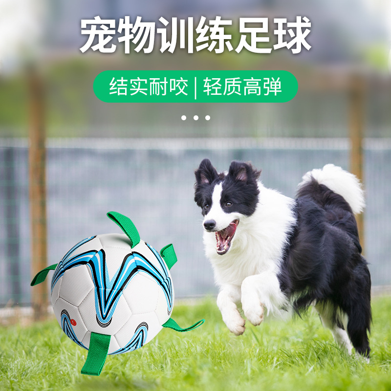 宠物足球狗狗户外玩具球19cm直径PU材质宠物带绳子足球训练用品