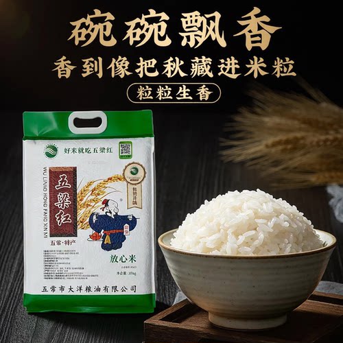 大洋五常大米五梁红放心米10KG