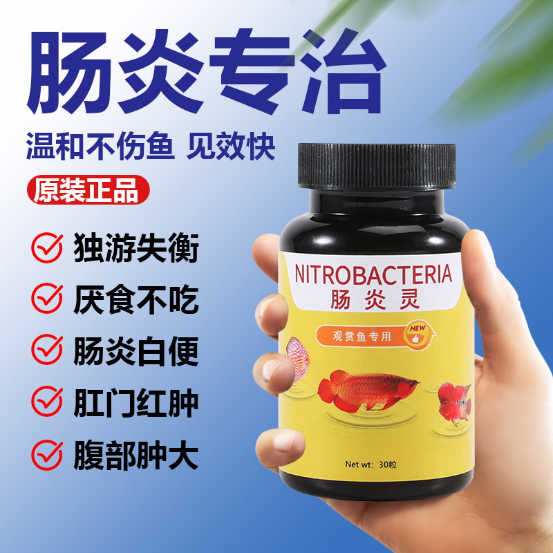 观赏鱼肠炎病锦鲤鱼拉白便土霉素鱼药治疗鹦鹉鱼失衡厌食腹胀腹水