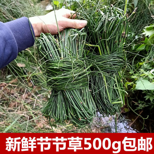 野生新鲜节节草500g包邮木贼草祛火茶锁眉草笔杆中草药现采 - 封面