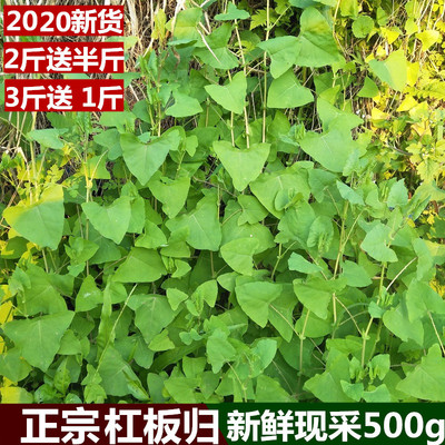 野生新鲜杠板归500g倒退梨头