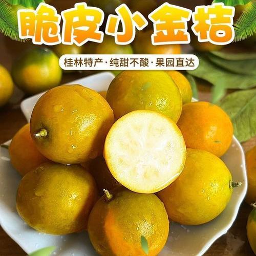 广西脆皮小金桔纯甜带皮吃5斤装