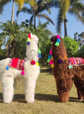 秘鲁品牌进口超大羊驼100cm客厅门口摆件羊驼毛Alpaca公仔玩偶