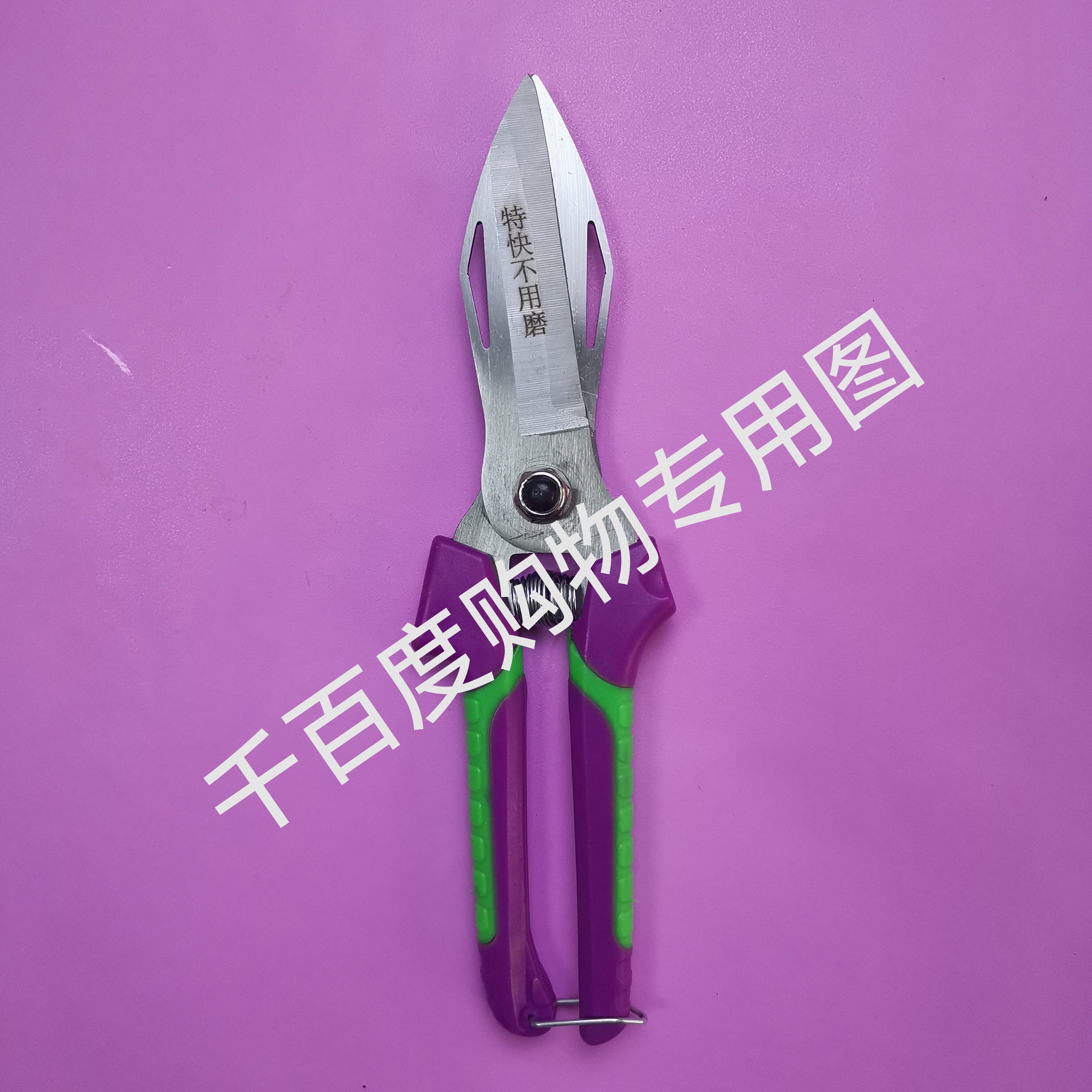 农用工具新款盒装洋葱蒜头剪刀蒜剪 双色直柄大蒜剪子