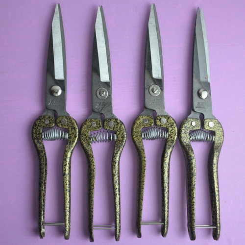 大果剪小羊毛剪吉昌专用剪刀