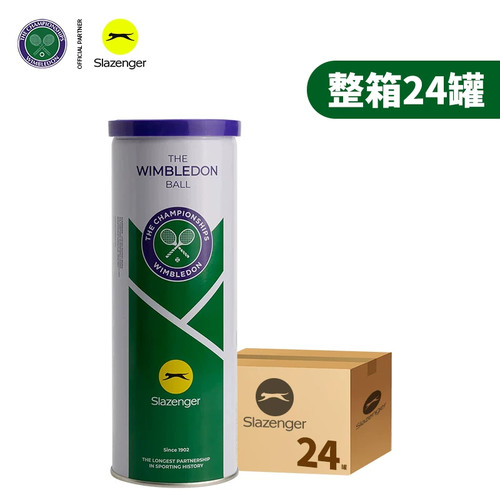 史莱辛格温网训练球耐打无压耐磨