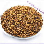 新款 韩国秘制烘焙型大麦茶餐饮酒店用花草茶养生茶250g散装