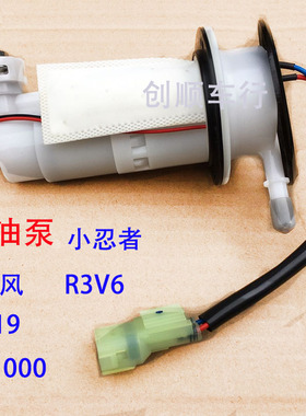忍者电喷油泵魅影R3V6枭风摩托N19国威宝雕 新世纪蛟龙火牙汽油泵