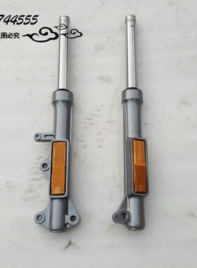 林海雅马哈摩托车前减震 LYM110-2禧发110 C8前减震器 前叉前避震