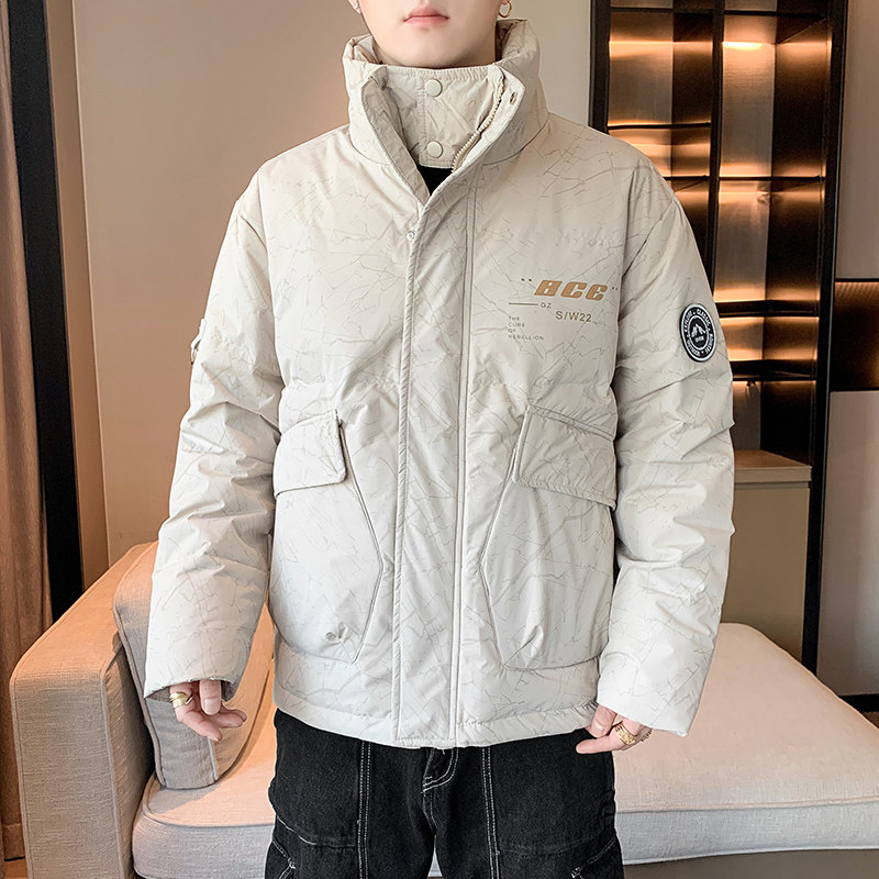 90白鸭绒2026冬加厚宽松休闲立领羽绒服男中性保暖外套Y820-P175，男装羽绒服，星座四季星座1412