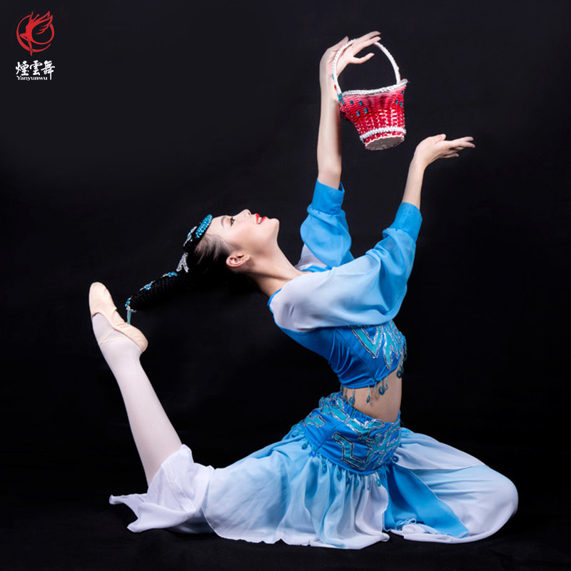 烟云舞古典舞蹈服桃李杯独舞罗敷行表演服装艺考比赛演出服装定制