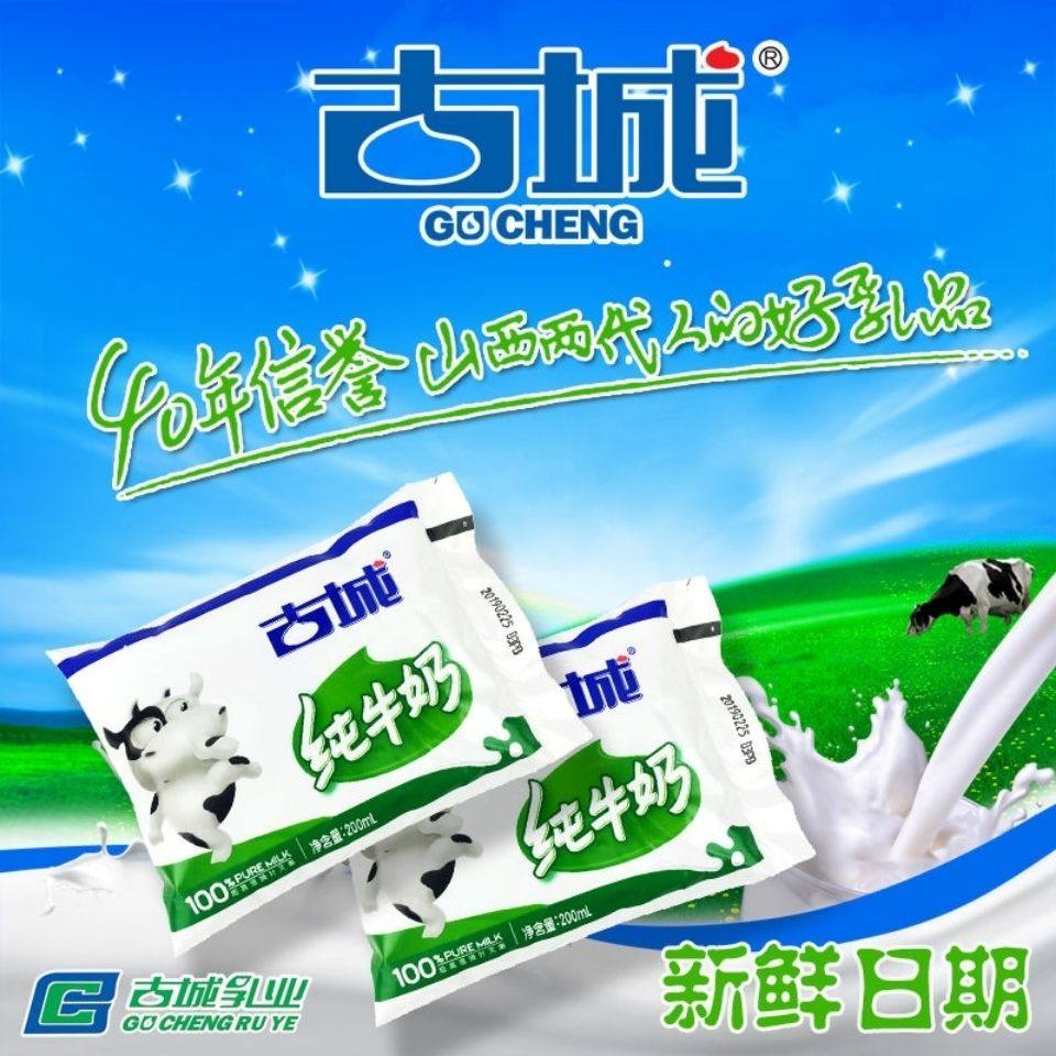 山西特产古城优质纯牛奶塑料袋装无菌食品16袋全脂营养早餐奶