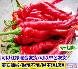 甘肃农产品新鲜辣椒秦安特产食用青椒红辣椒5斤净重包邮