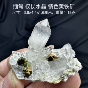 缅甸权杖水晶锖色黄铁矿 天然矿物晶体标本矿石原石收藏摆件d35