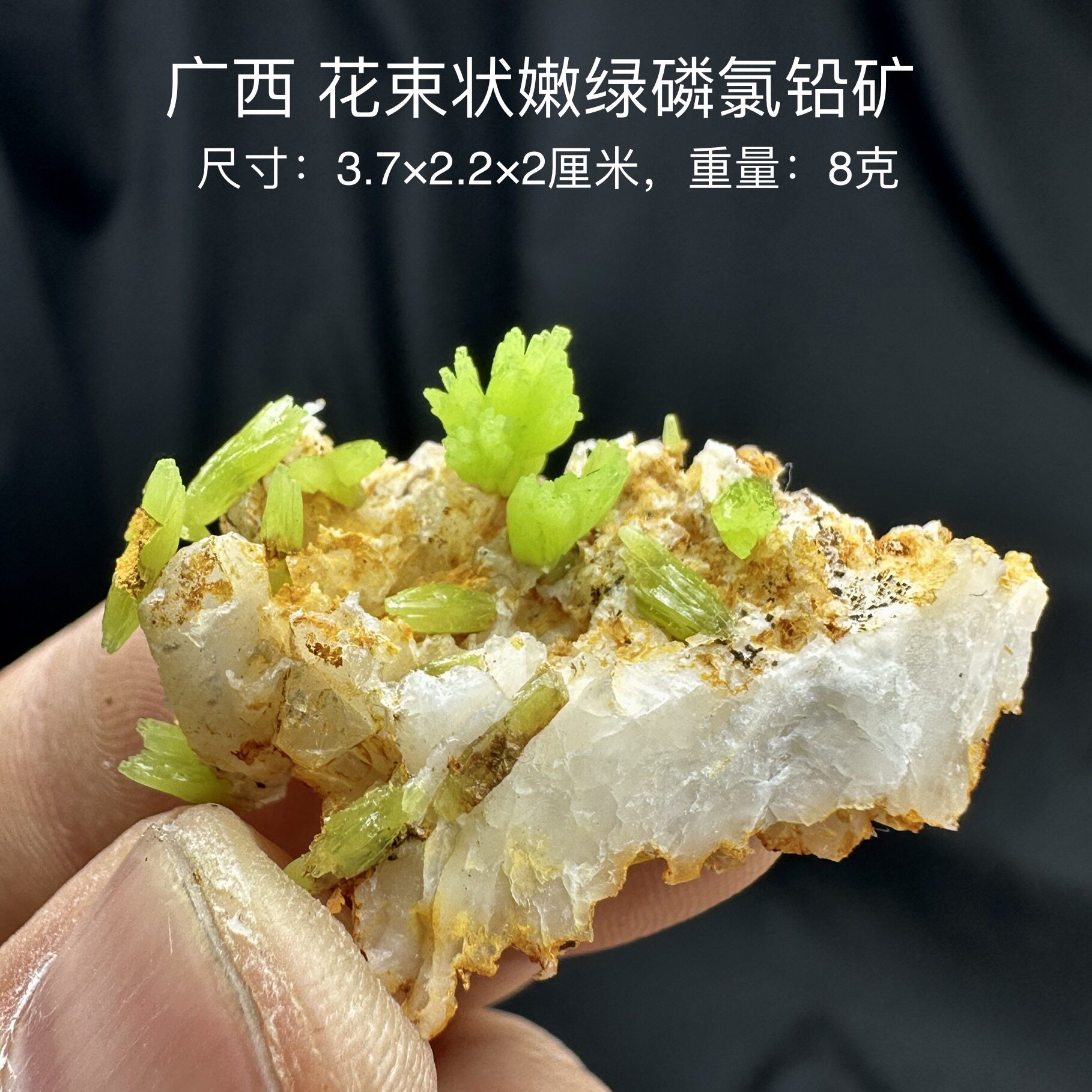 广西花束状嫩绿磷氯铅矿 天然矿物晶体标本矿石原石收藏摆件d32