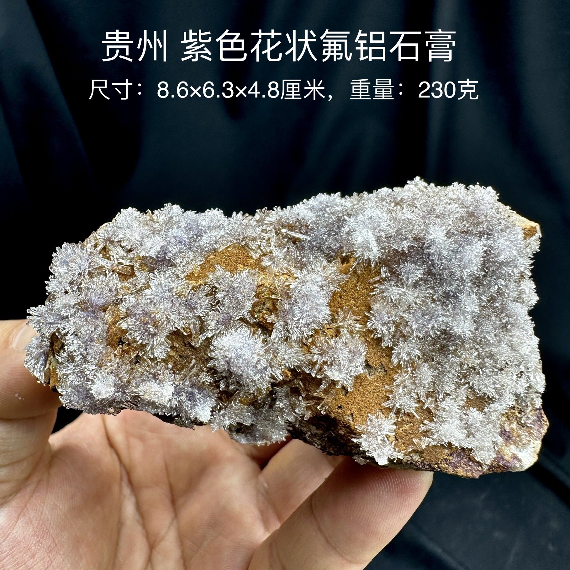 贵州紫色花状氟铝石膏 天然矿物晶体标本矿石原石收藏石头摆件d15