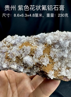 贵州紫色花状氟铝石膏 天然矿物晶体标本矿石原石收藏石头摆件d15