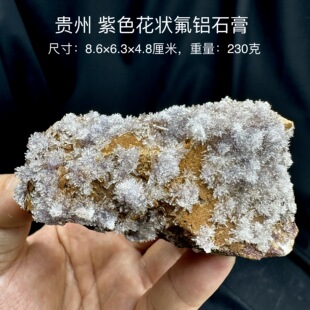 贵州紫色花状氟铝石膏 天然矿物晶体标本矿石原石收藏石头摆件d15