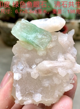 印度绿色鱼眼石沸石天然矿物晶体标本矿石原石头收藏摆件地质e32