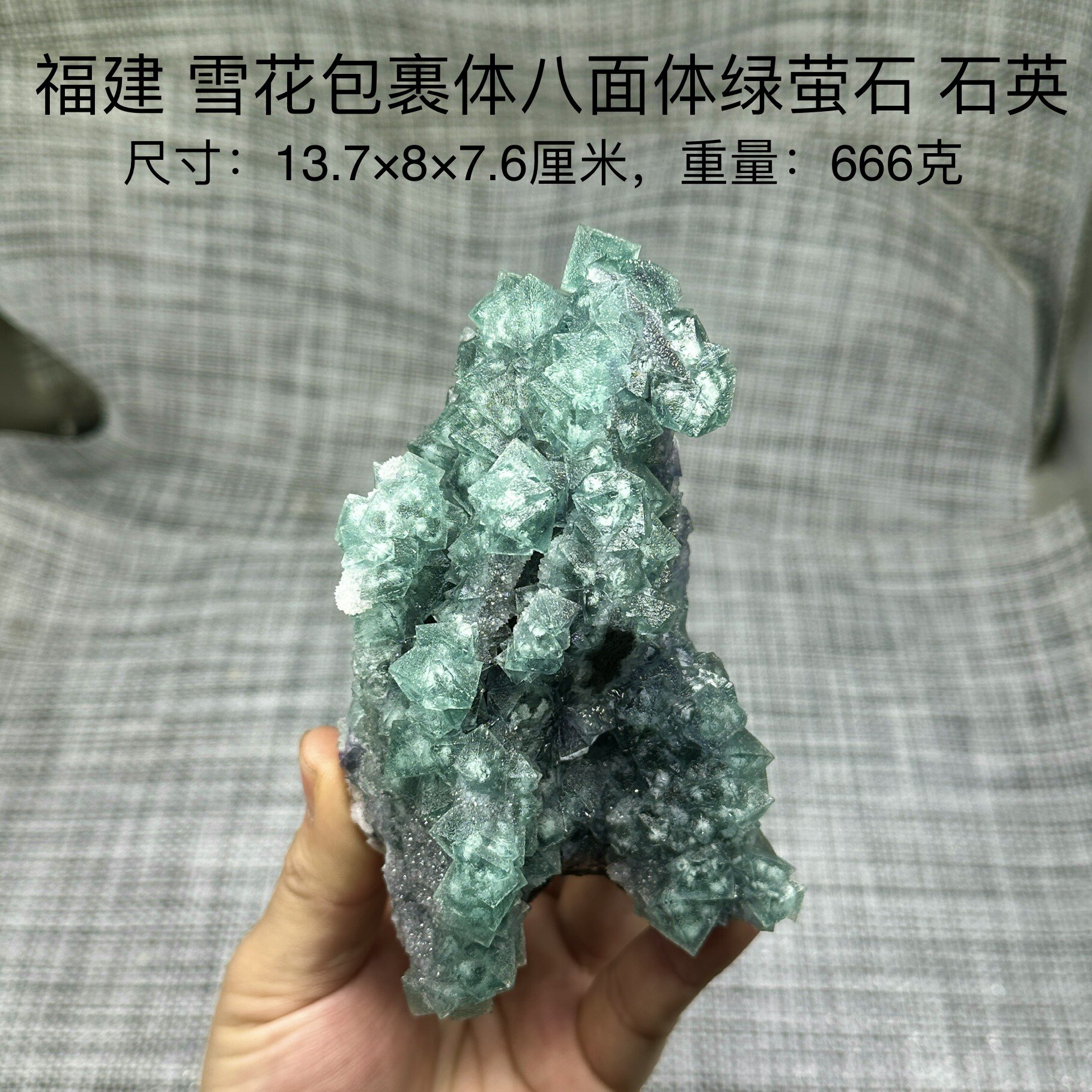 福建雪花包裹体八面体绿萤石 天然矿物晶体标本矿石原石摆件d25