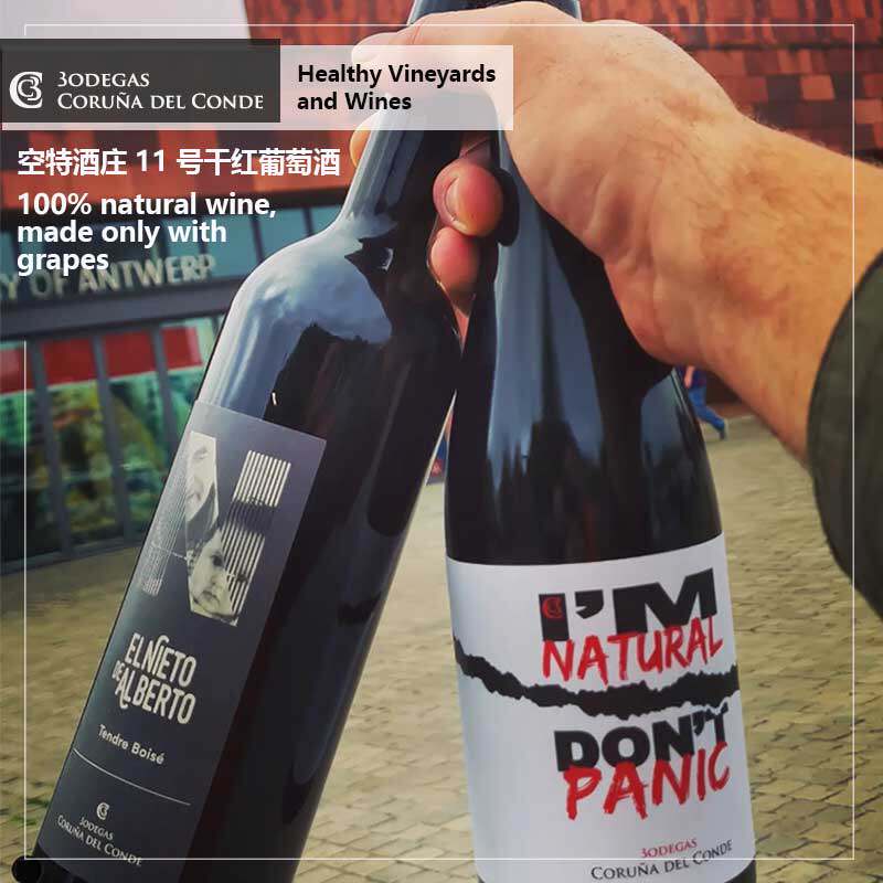 西班牙布尔戈斯 空特酒庄 11 号干红葡萄酒 丹魄 爱孙 香气浓郁