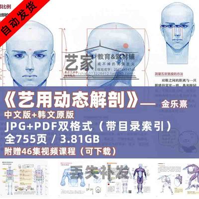艺用人体结构动态图片电子版中文参考解剖骨骼肌肉基础原理绘画