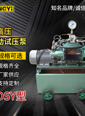 DSB25MPa电动试压泵 超高压往复大管道水管检漏仪打压测压机