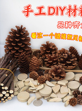 松果装饰diy材料幼儿园环创