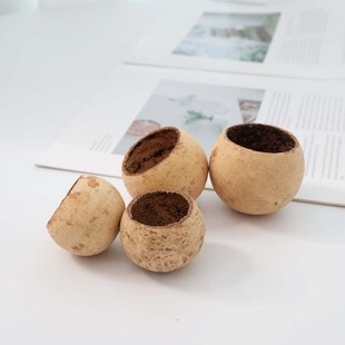【半碗壳】进口天然植物果壳鱼缸南美缸造景装饰diy材料香薰容器