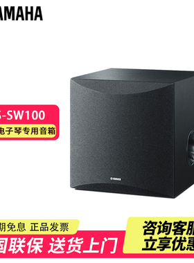 雅马哈KS-SW100 电子琴音响X920 X720 X600专用音响