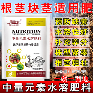 地下根茎块茎适用土豆红薯马铃薯大蒜姜中药材三七地黄芩块茎粗壮