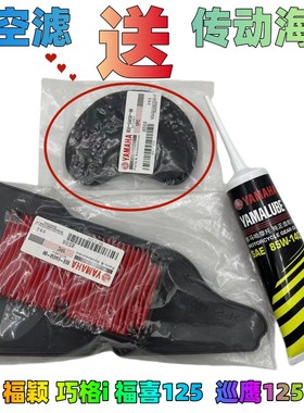 适用雅马哈旭鹰巡鹰福颖赛鹰巧格i 福喜AS125空气滤芯海绵 齿轮油