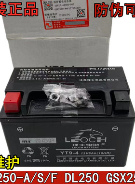 适用GSX250R-A骊驰GW250F/S DL250 原装电瓶12V8Ah理士蓄电池