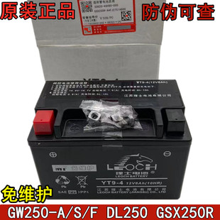 适用GSX250R-A骊驰GW250F/S DL250 原装电瓶12V8Ah理士蓄电池