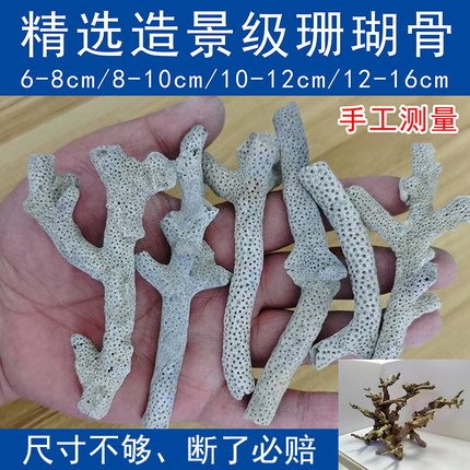 精选造景级珊瑚骨长枝平衡PH值滤材淡水海水通用未漂白原色送网袋