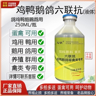 平安兽保禽六连抗鸡鸭鹅鸽禽类抗病毒新法式禽用抗体传支传喉蛋禽