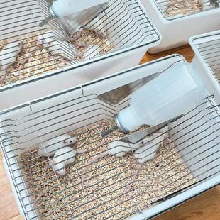 实验室鼠笼小鼠笼M1养殖笼鼠笼不锈钢c57km饲养笼繁殖笼子可开票