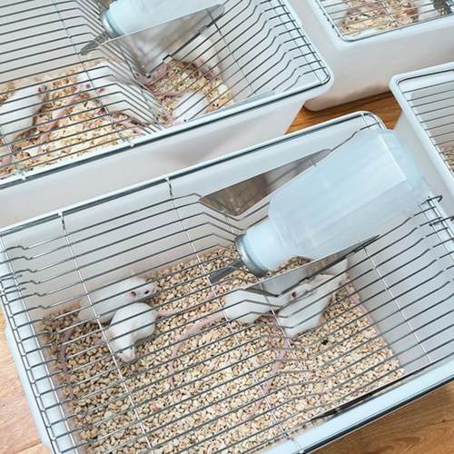 实验室鼠笼小鼠笼不锈钢笼