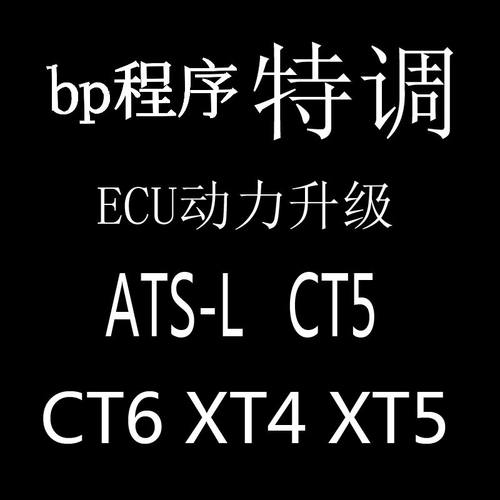 凯迪拉克ECU ATS CT5 CT4 CT6 CCR bp特调程序变速箱模块LSY外挂
